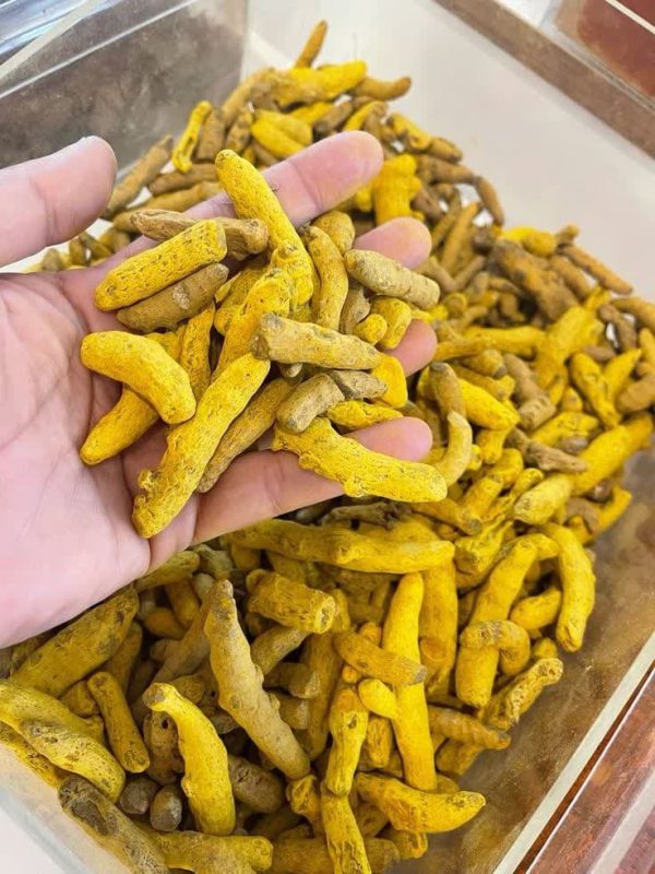 خرید و فروش زرد چوبه عمده