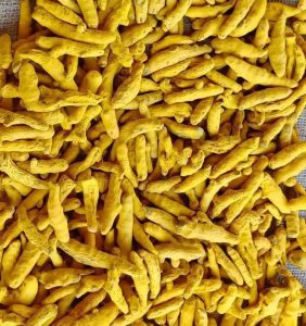 فروش زرد چوبه عمده در ایران